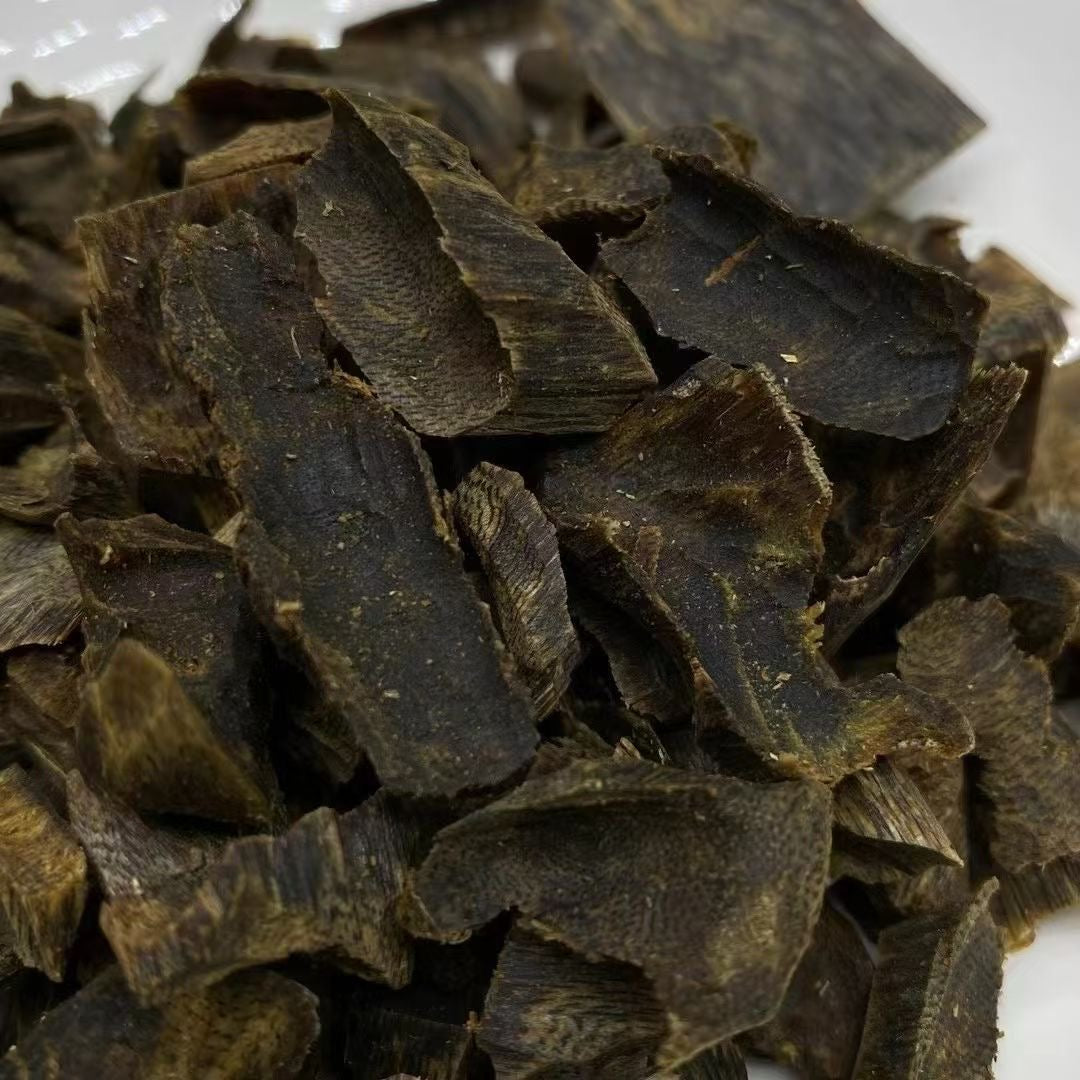 Kynam Agarwood Chips | Rich-Oil Chinese Oud | 100% Natural | For Incense & Home Fragrance