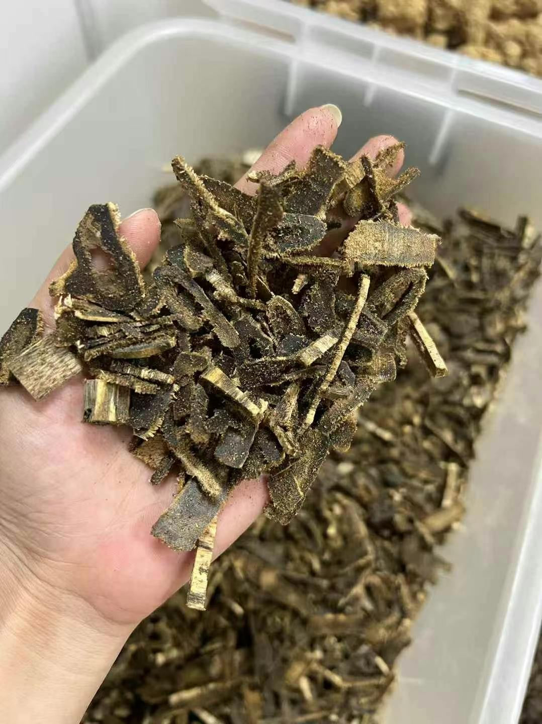 Kynam Agarwood Chips – High-Oil for Incense