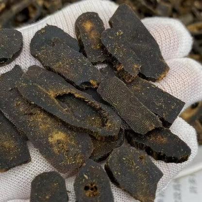 Sinking-Grade Purple Kynam Agarwood Chips — Handcrafted for Incense, Tea, and Water Infusion