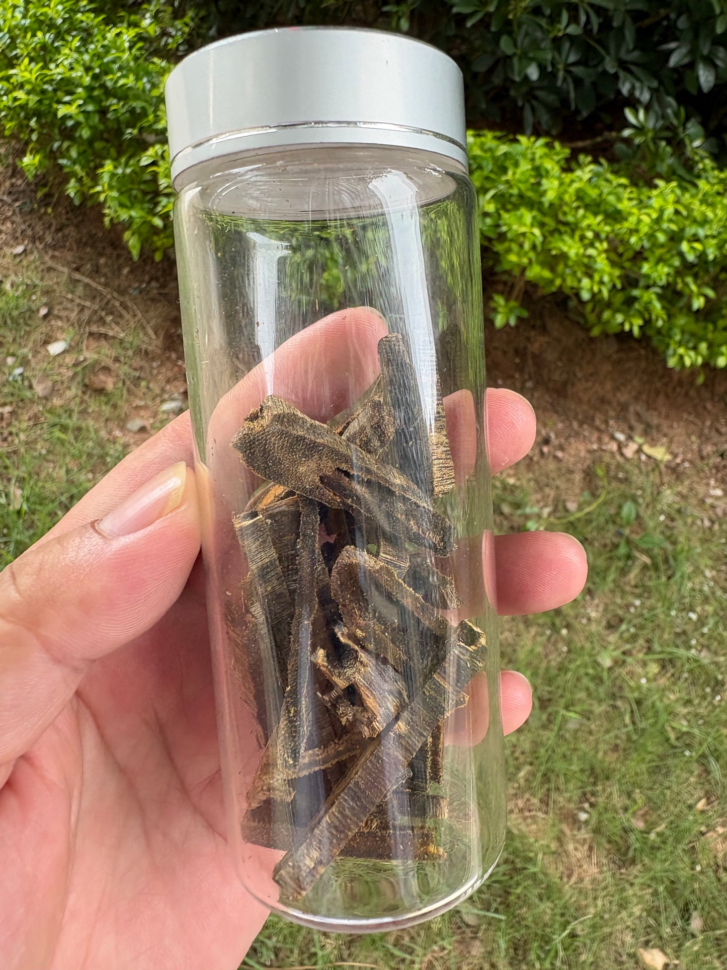 Kynam Agarwood Chips – High-Oil for Incense