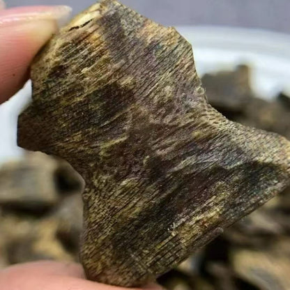 Kynam Agarwood Chips | Natural Oud | For Incense & Home Fragrance