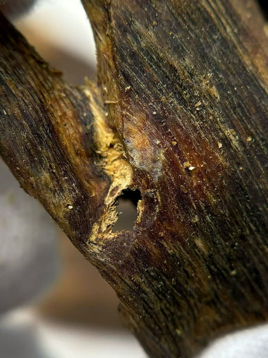 Kynam Agarwood Chips | Natural Oud | Full-Oil | For Incense & Home Fragrance